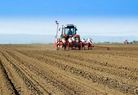 發(fā)揮好提效增收功能 促進(jìn)土地托管規(guī)范化發(fā)展