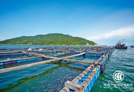 沿海地區(qū)加快布局 海洋經(jīng)濟(jì)數(shù)萬(wàn)億級(jí)市場(chǎng)空間有望開(kāi)啟