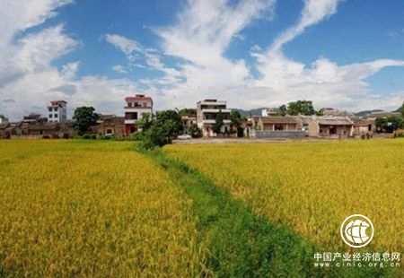 廣東推動(dòng)鄉(xiāng)村旅游提檔升級(jí) 為全域旅游添彩