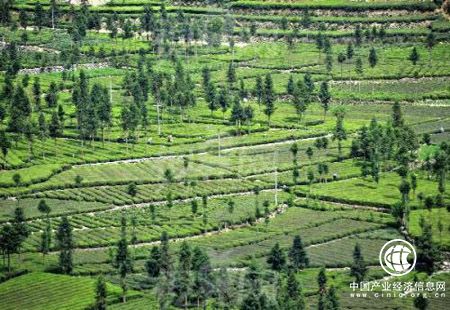 山西提前啟動實施2018年退耕還林任務(wù)120萬畝