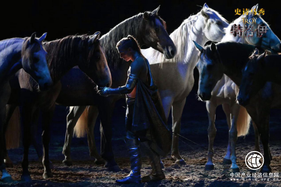 史詩(shī)馬秀《特洛伊》:名馬待遇奢華 只為表演高水準(zhǔn)