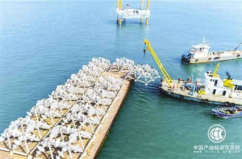 我國已建成國家級(jí)海洋牧場示范區(qū)42個(gè)