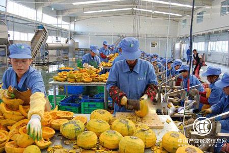 農(nóng)業(yè)部：我國將加快推動(dòng)農(nóng)產(chǎn)品加工業(yè)轉(zhuǎn)型升級