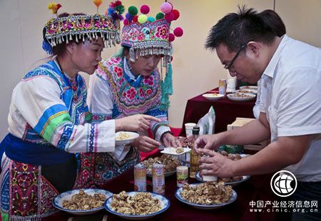 “中國(guó)核桃之鄉(xiāng)”來(lái)滬推介 22棵百年古樹(shù)核桃果權(quán)將拍賣(mài)