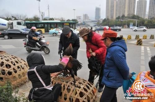 資料圖：街頭攤販。任東 攝