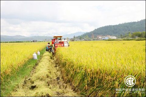 黑龍江省確定秋季農(nóng)機(jī)化生產(chǎn)重點(diǎn)