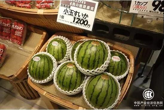 中普臧延斌：穩(wěn)抓機(jī)會(huì)，將讓你種豆得瓜