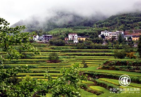 生態(tài)建設(shè)與耕地保護(hù)豈能顧此失彼？