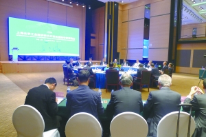 上?；^(qū)咨詢國際專家