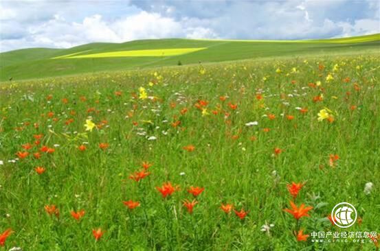 農(nóng)業(yè)部：我國(guó)草原生態(tài)環(huán)境惡化勢(shì)頭得到初步遏制