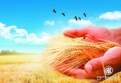 加強(qiáng)川黑兩省糧食產(chǎn)銷(xiāo)協(xié) 作打造黑龍江好糧油工程