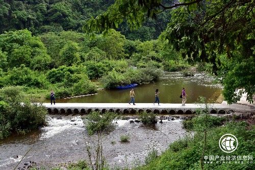 中國將啟動大規(guī)模國土綠化行動