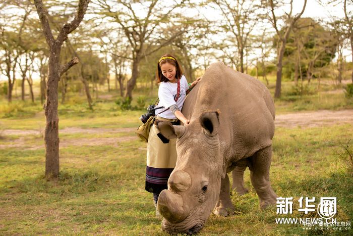 江一燕呼吁保護(hù)犀牛 拒絕獵殺買賣 