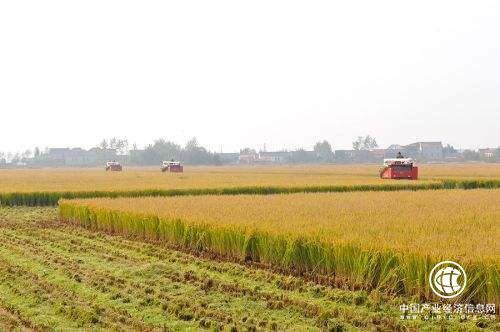 兩部委聯(lián)合發(fā)文：土地整治重大工程實(shí)行獎(jiǎng)補(bǔ)結(jié)合先建后獎(jiǎng)