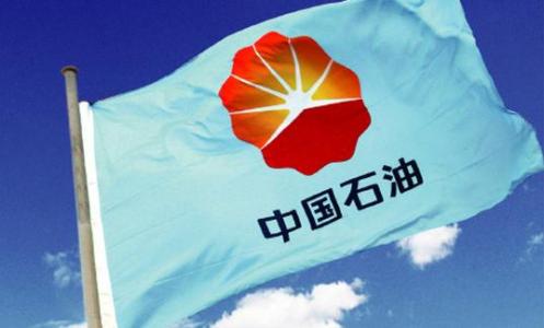 中國(guó)石化“精細(xì)化學(xué)品關(guān)鍵技術(shù)”重大項(xiàng)目年度匯報(bào)會(huì)在上海院舉行