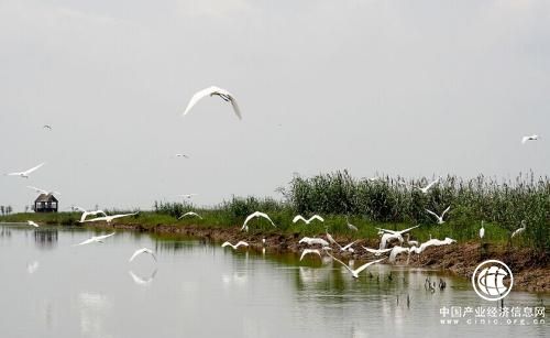 山西：28項優(yōu)先行動推進(jìn)全省生物多樣性保護(hù)