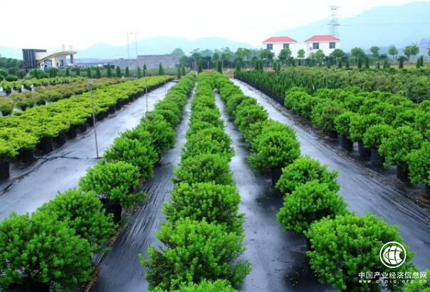 科技部開啟新一批國家農(nóng)業(yè)科技園區(qū)申報