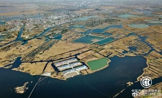 中央批復(fù)了！河北雄安新區(qū)要這樣建