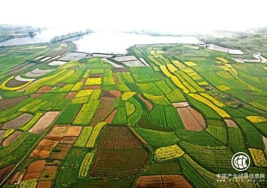 2018年一季度農(nóng)業(yè)經(jīng)濟(jì)運(yùn)行良好，第一產(chǎn)業(yè)增加值達(dá)到8904億元