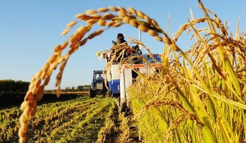 11部門：繼續(xù)支持脫貧縣統(tǒng)籌整合使用財政涉農(nóng)資金