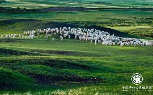 內(nèi)蒙古巴彥淖爾積極推進河套區(qū)域農(nóng)產(chǎn)品品牌戰(zhàn)略