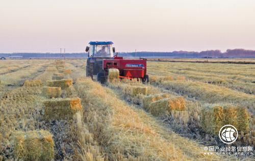 黑龍江賓縣10萬(wàn)噸秸稈轉(zhuǎn)化炭基肥項(xiàng)目投產(chǎn)