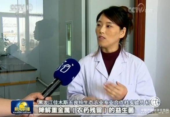 黑龍江 現(xiàn)代農(nóng)業(yè) 結構