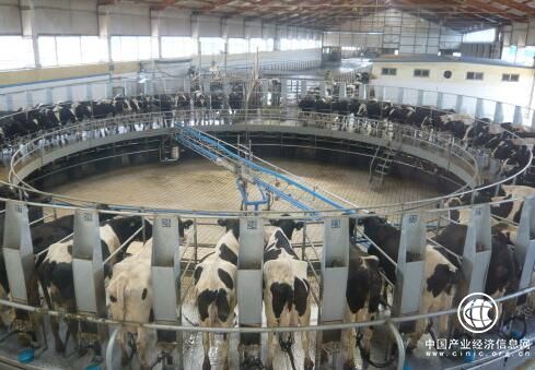 乳業(yè)半年報 消費(fèi)疲軟 整體業(yè)績不及預(yù)期  價減量增 市場有望逐步恢復(fù)