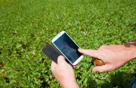 手機(jī)成為中國(guó)農(nóng)民手中的“新農(nóng)具”