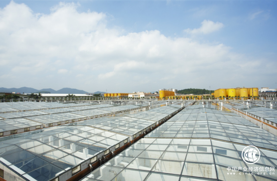 海天醬油踐行企業(yè)社會(huì)責(zé)任 不斷致力于產(chǎn)業(yè)升級(jí)