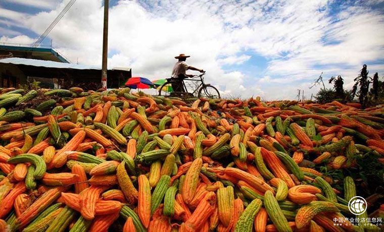 農(nóng)產(chǎn)品如何破解賣難困局？埋頭苦種難以解憂