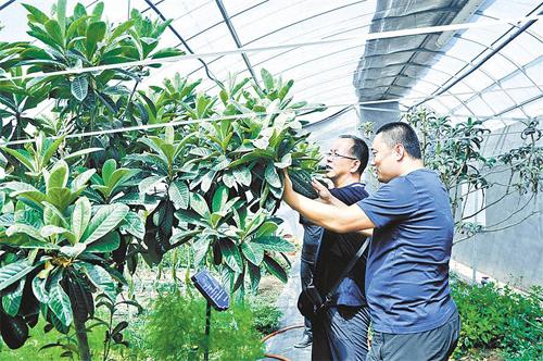 內(nèi)蒙古烏海市科技引領農(nóng)業(yè)產(chǎn)業(yè)化發(fā)展