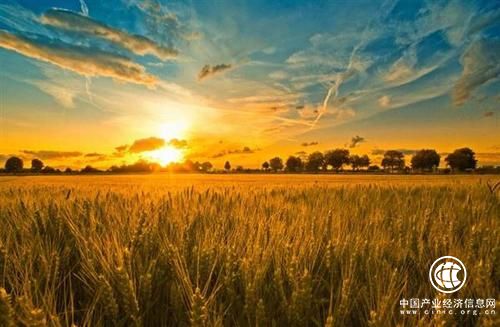 一帶一路拓展農(nóng)業(yè)合作新機(jī)遇