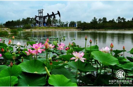 黑龍江大慶：爭當“排頭兵”建設(shè)“新大慶”