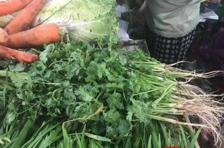 暴雨天氣“后遺癥”，香菜比肉貴最高賣到60元/斤