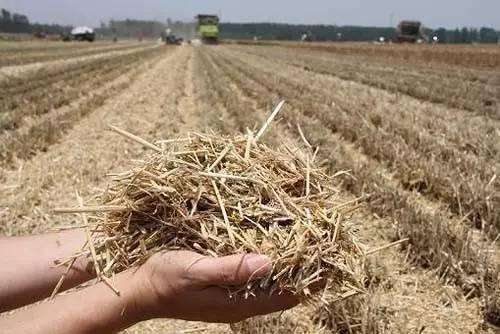 黑龍江省完成秋整地和秸稈還田計(jì)劃面積