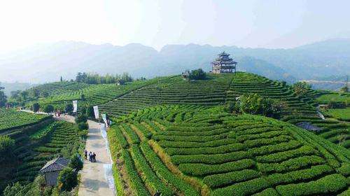 廣西：奮力書(shū)寫(xiě)壯鄉(xiāng)反貧困歷史新篇章