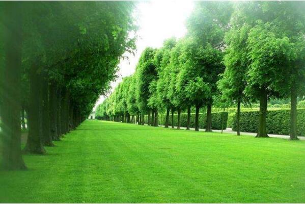 自然資源部：以數(shù)字化推動(dòng)國(guó)土空間治理模式變革