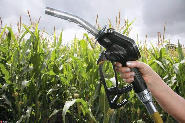 乙醇汽油全國推廣進入關鍵一年 市場有待規(guī)范