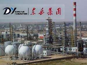 東岳集團(tuán)：做行業(yè)發(fā)展探路人