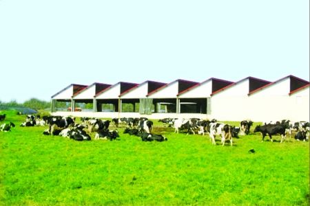 奶業(yè)經(jīng)歷原奶下行周期陣痛 控貨控價、控貨穩(wěn)價成企業(yè)發(fā)展重心