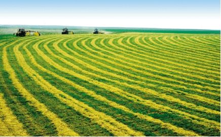 中國人民銀行 農(nóng)業(yè)農(nóng)村部 金融監(jiān)管總局聯(lián)合召開金融服務(wù)鄉(xiāng)村振興工作推進會議