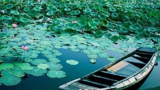 黑龍江：水環(huán)境質量呈改善態(tài)勢