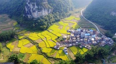 廣西今年鄉(xiāng)村旅游預計接待游客近4億人次