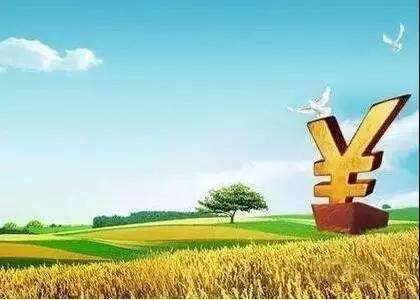 農(nóng)業(yè)農(nóng)村部：推動(dòng)金融支農(nóng)政策加速落地