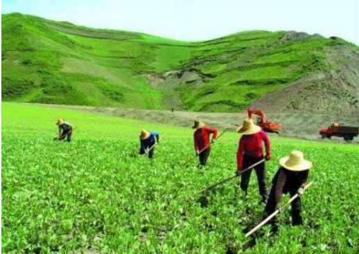 農(nóng)業(yè)農(nóng)村部：確保小農(nóng)戶不掉隊(duì)