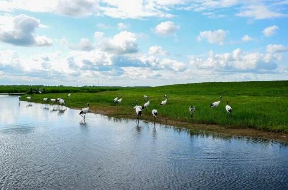 齊齊哈爾市全力推動(dòng)旅游產(chǎn)業(yè)高質(zhì)量發(fā)展