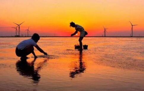 山東東營(yíng)：打響“黃河入?！蔽幕糜纹放?></a></div><!-- img end -->	<div   id=