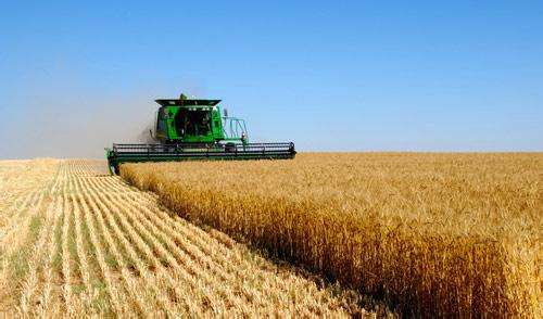 黑龍江：當(dāng)好糧食安全壓艙石