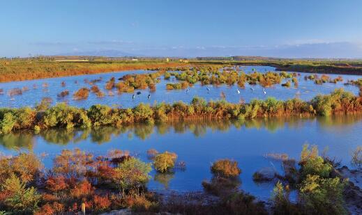 我國(guó)新增22處國(guó)家重要濕地